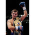 Kevin Mitchell | Boxing Posters | TotalPoster