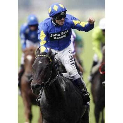 Nativo de Kingsgate | Pósteres de carreras de caballos | TotalPoster