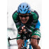 Levi Leipheimer | Tour de France Posters TotalPoster
