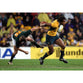 Lote Tuqiri poster | Australia Rugby | TotalPoster