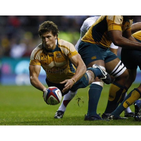 Luke Burgess poster | Australia Rugby | TotalPoster