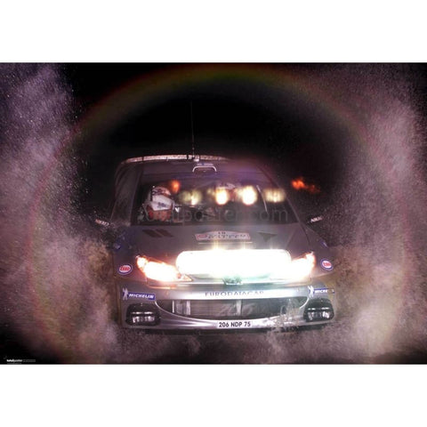 Marcus Grönholm | Pósteres de rally mundial | TotalPoster