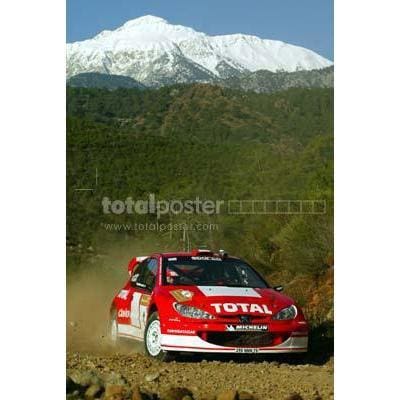 Marcus Gronholm | World Rally Posters | TotalPoster