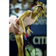 Maria Sharapova poster | US Open Tennis | TotalPoster