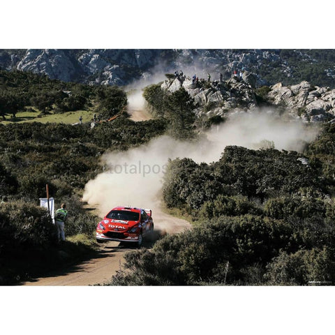 Markko Martin | World Rally Posters | TotalPoster