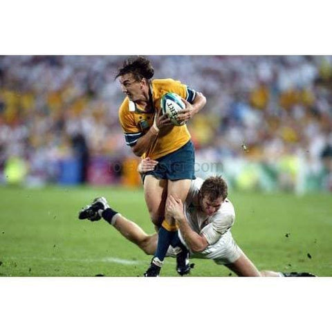 Mat Rogers poster | World Cup Rugby | TotalPoster