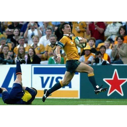Mat Rogers poster | World Cup Rugby | TotalPoster