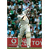 Mathew Hoggard hits out during the England v West Indies npower Fourth Test at the AMP Oval | TotalPoster