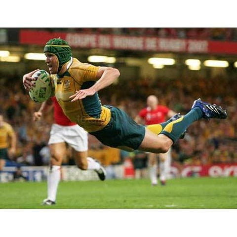 Matt Giteau poster | World Cup Rugby | TotalPoster