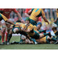Matt Giteau poster | Australia Rugby | TotalPoster