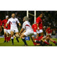 Matt Stevens poster | England Rugby | TotalPoster