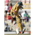 Australia's Matthew Hayden lunges to make the crease during their World Cup cricket semi-final match against South Africa in Gros Islet | TotalPoster
