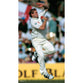 Matthew Hoggard | Cricket Posters | TotalPoster