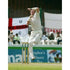 Matthew Hoggard in action during the England cricket tour of Sri Lanka at Galle International Stadium | TotalPoster