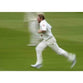 Matthew Hoggard | Cricket Posters | TotalPoster