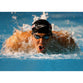 Michael Phelps | Swimming Posters | TotalPoster