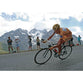 Michael Rasmussen | Tour de France Posters