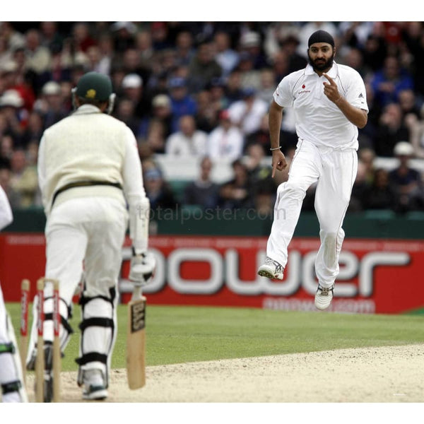 Monty Panesar celebrates tacking a wicket during the 2nd npower cricket test between England and South Africa | TotalPoster
