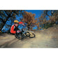 Mountain Biker poster | cycling | TotalPoster