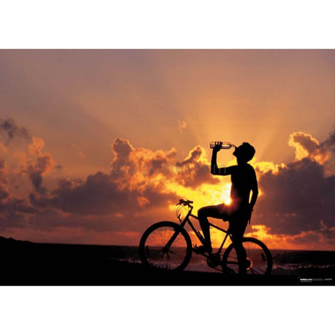 Póster de ciclista de montaña | TotalPoster