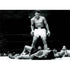 Muhammad Ali | Boxing posters | TotalPoster