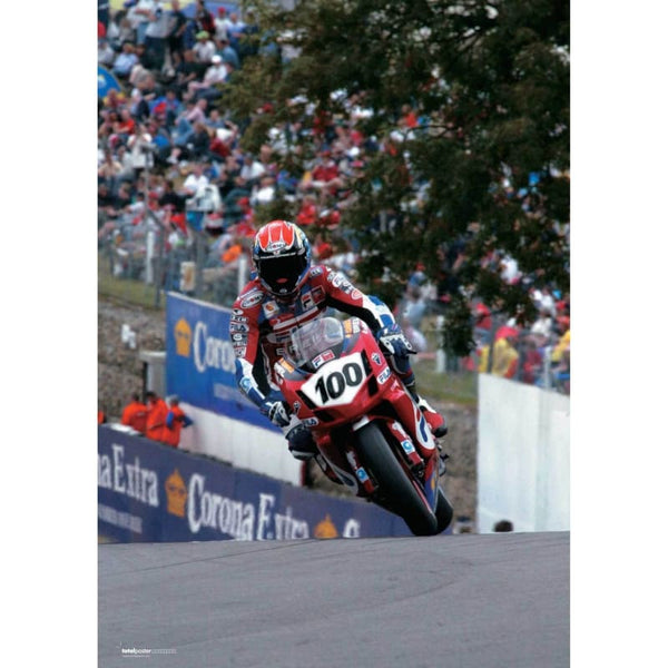 Neil Hodgson | Superbikes Posters | TotalPoster