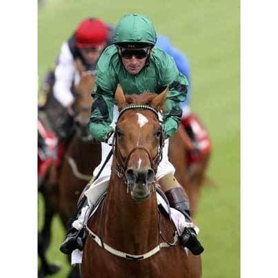 Nuevo enfoque | Póster de carreras de caballos | cartel total