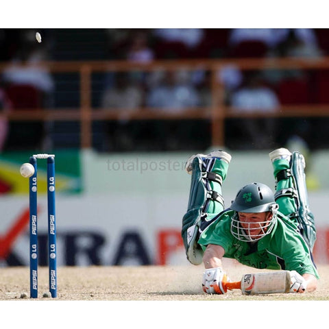 Niall O'Brien | Cricket Posters | TotalPoster