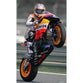 Nicky Hayden | MotoGP posters | TotalPoster