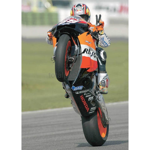 Nicky Hayden | MotoGP posters | TotalPoster