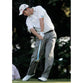 Padraig Harrington | Golf Posters | TotalPoster