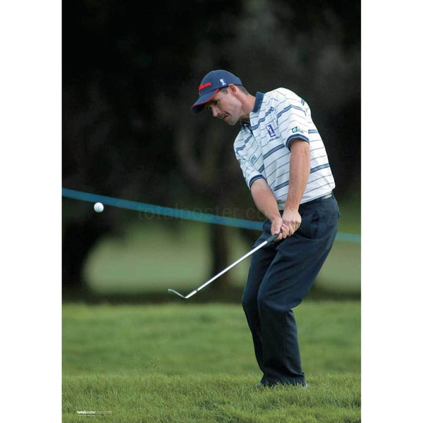 Padraig Harrington | Golf Posters | TotalPoster