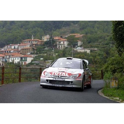 Panizzi | World Rally posters | TotalPoster