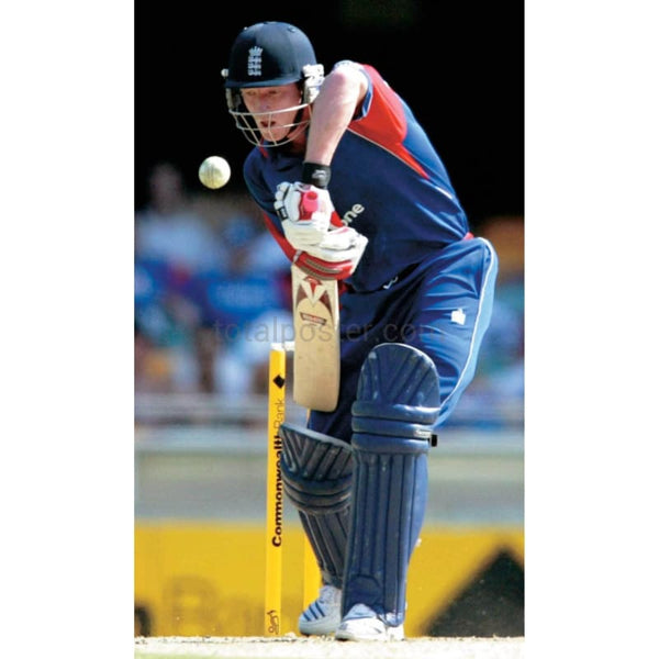 Paul Collingwood in action during the One day Internation cricket match between England and New Zealand | TotalPoster
