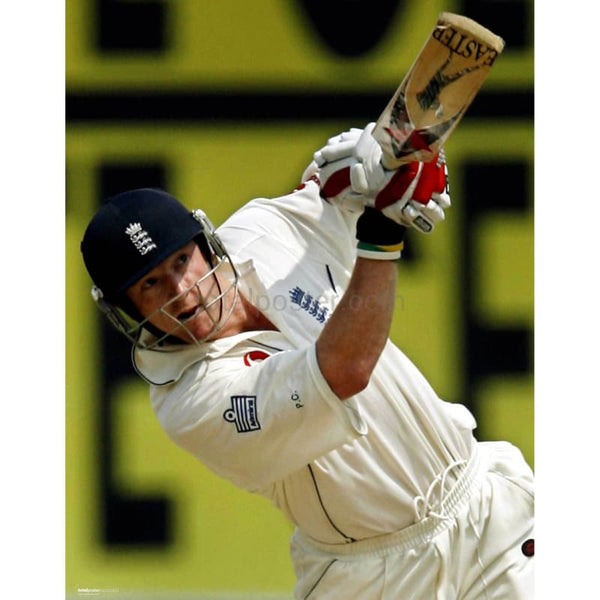 Paul Collingwood in action during the England v India first Test at Nagpur | TotalPoster