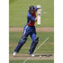 Paul Collingwood in action during the NatWest Challenge between Australia and England at Lords | TotalPoster
