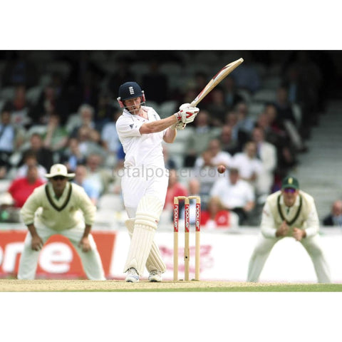 Pablo Collingwood | Carteles de críquet | TotalPoster