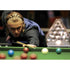 Paul Hunter in Action | Snooker Posters | Totalposter