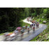 Riders of the peloton speed down a mountain road during the 18th stage of the Tour | TotalPoster