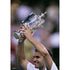 Pete Sampras TotalPoster