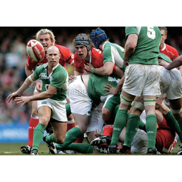 Peter Stringer | Ireland  Six Nations rugby posters TotalPoster