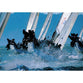Racing Yacht | Sailing Posters | TotalPoster