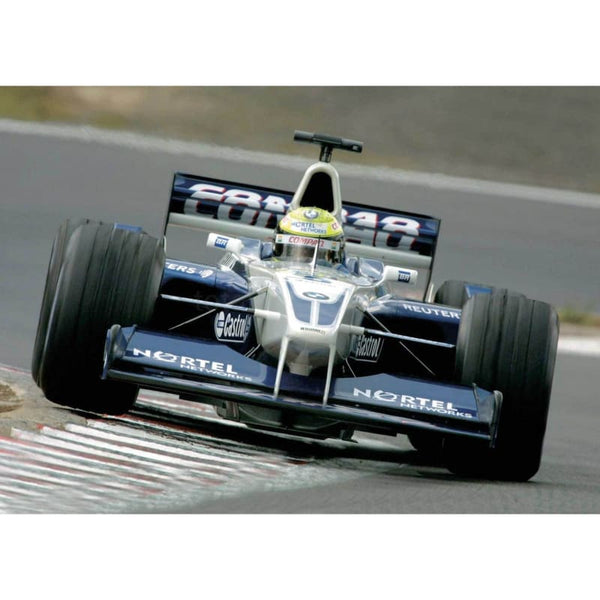 Ralf Schumacher / Williams F1 BMW during practice for the European Grand Prix at the Nurburgring | TotalPoster