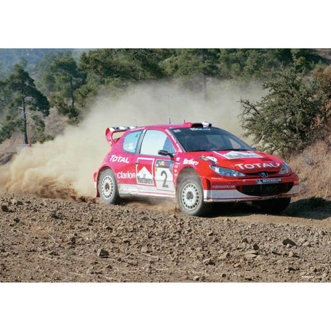 Richard Burns | World Rally posters | TotalPoster