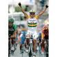 Robbie McEwen | Tour de France Posters