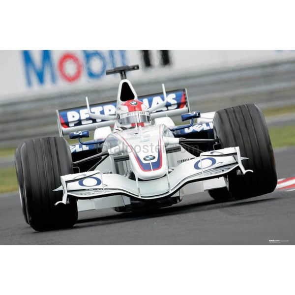Robert Kubica / BMW Sauber in action during practice for the Hungarian Grand Prix at the Hungaroring near Budapest | TotalPoster