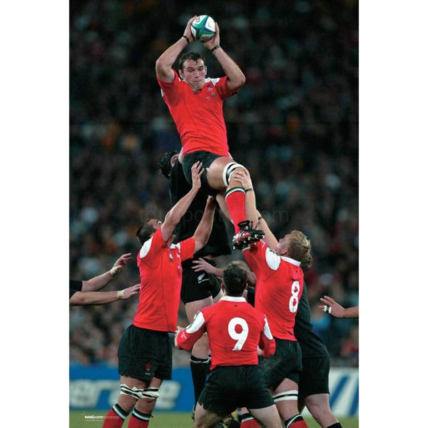 Robert Sidoli poster | World Cup Rugby | TotalPoster