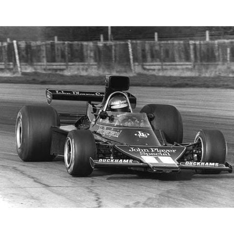 Ronnie Peterson | F1 histórica | TotalPoster