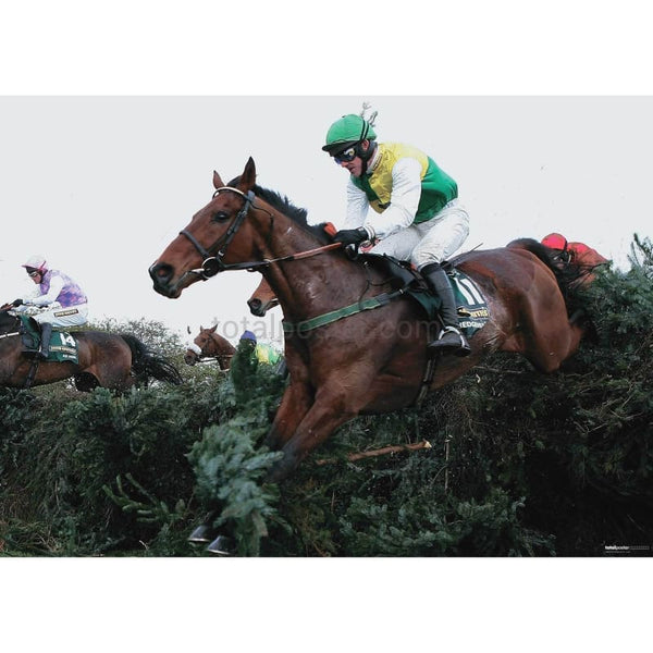 Ruby Walsh TotalPoster