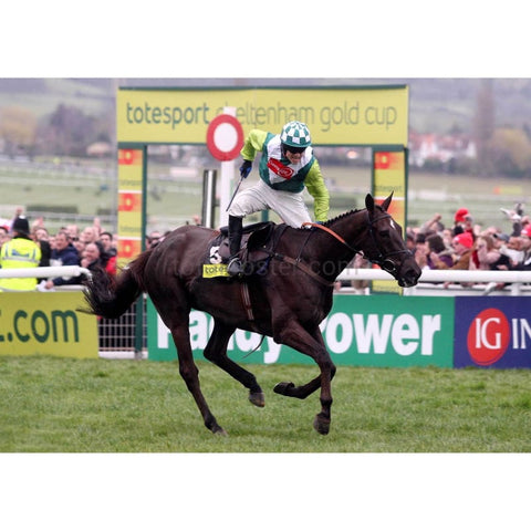 Sam Tomás | Póster de carreras de caballos | TotalPoster